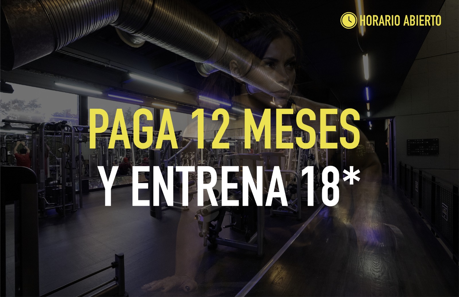 -Anualidad GO 18x12-ONLINE 2026